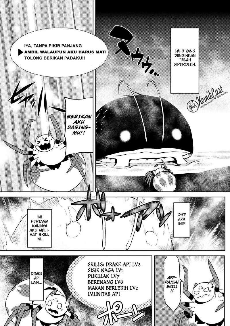 Kumo desu ga, Nani Ka?